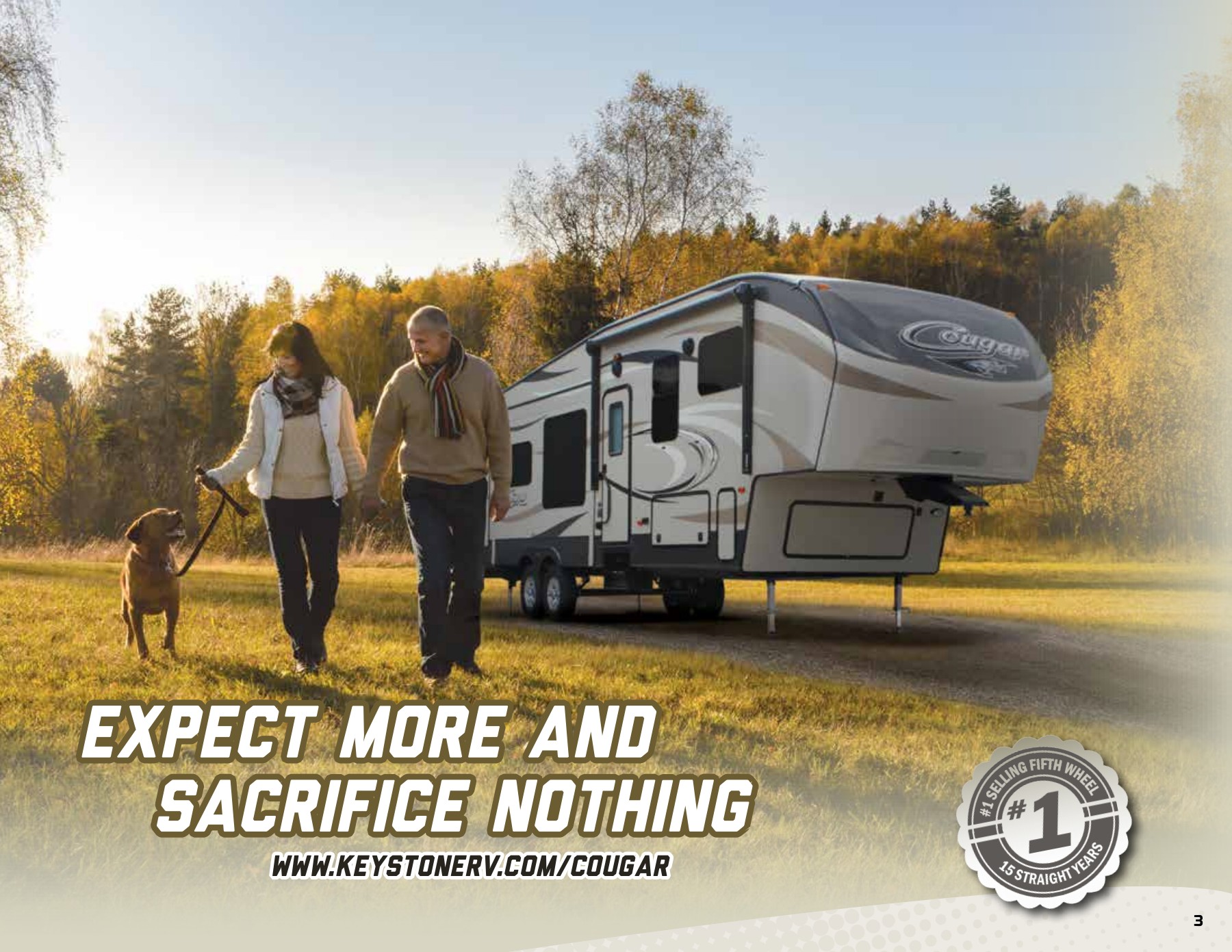 Keystone Rv Interior Light Bulbs Shelly Lighting