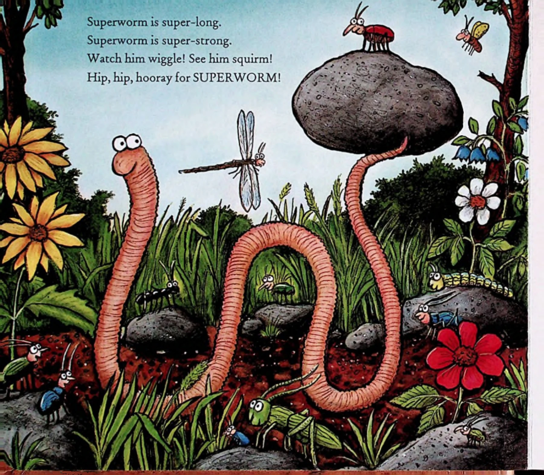 Superworm Lesson Plan Julia_Donaldson_Superworm