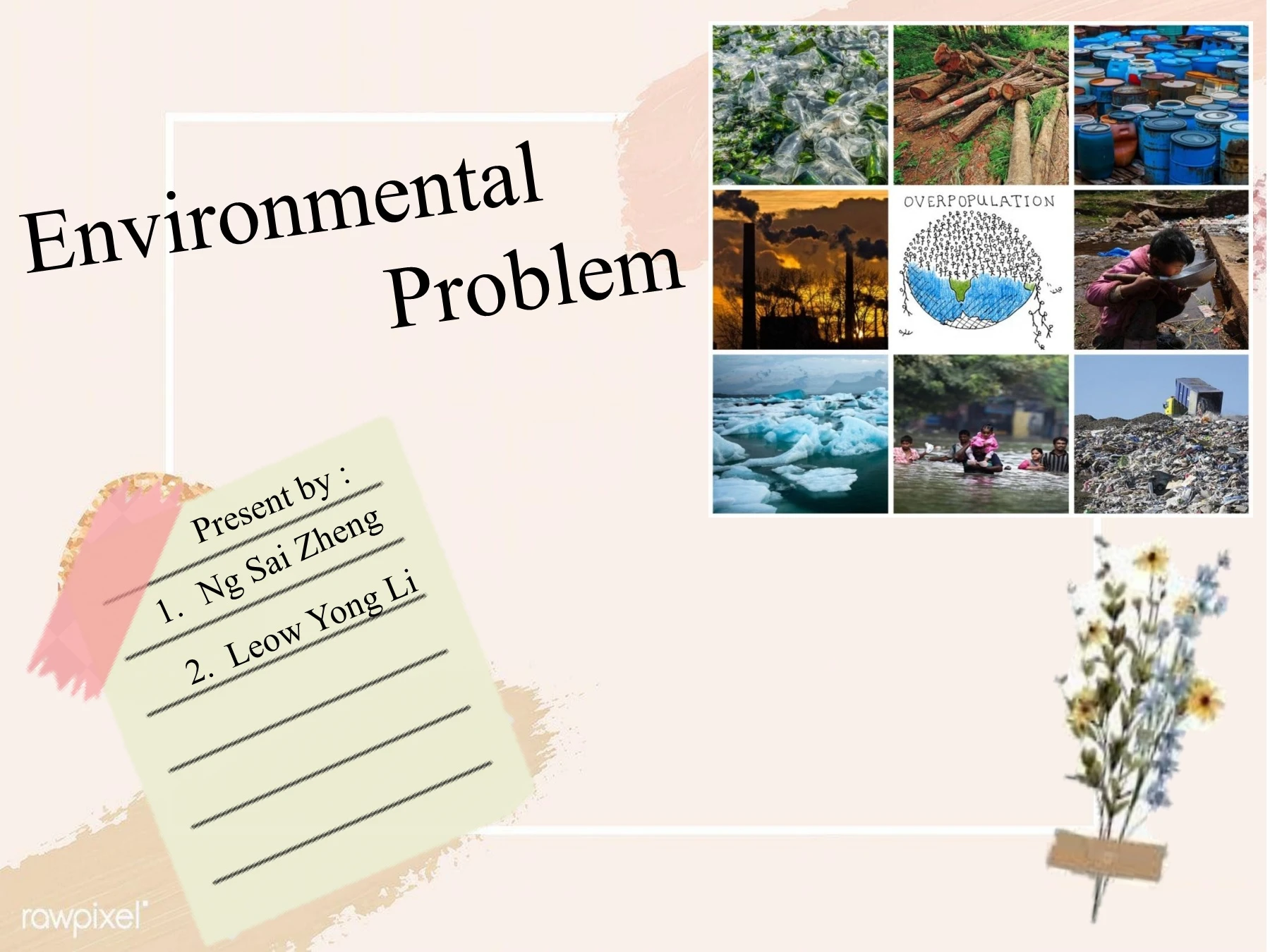 Environmental Problem