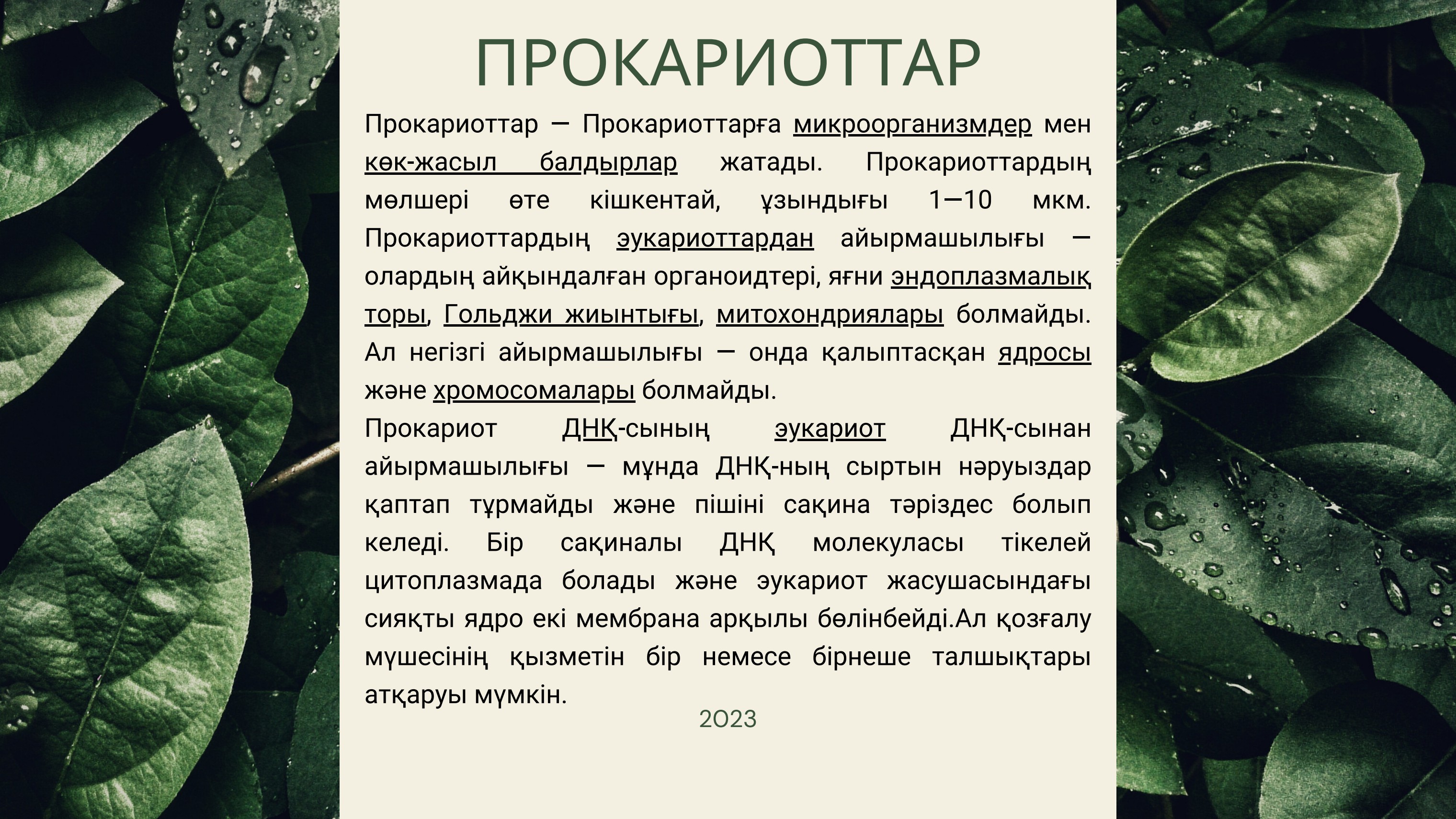 Жағажайдағы жезөкшені алды