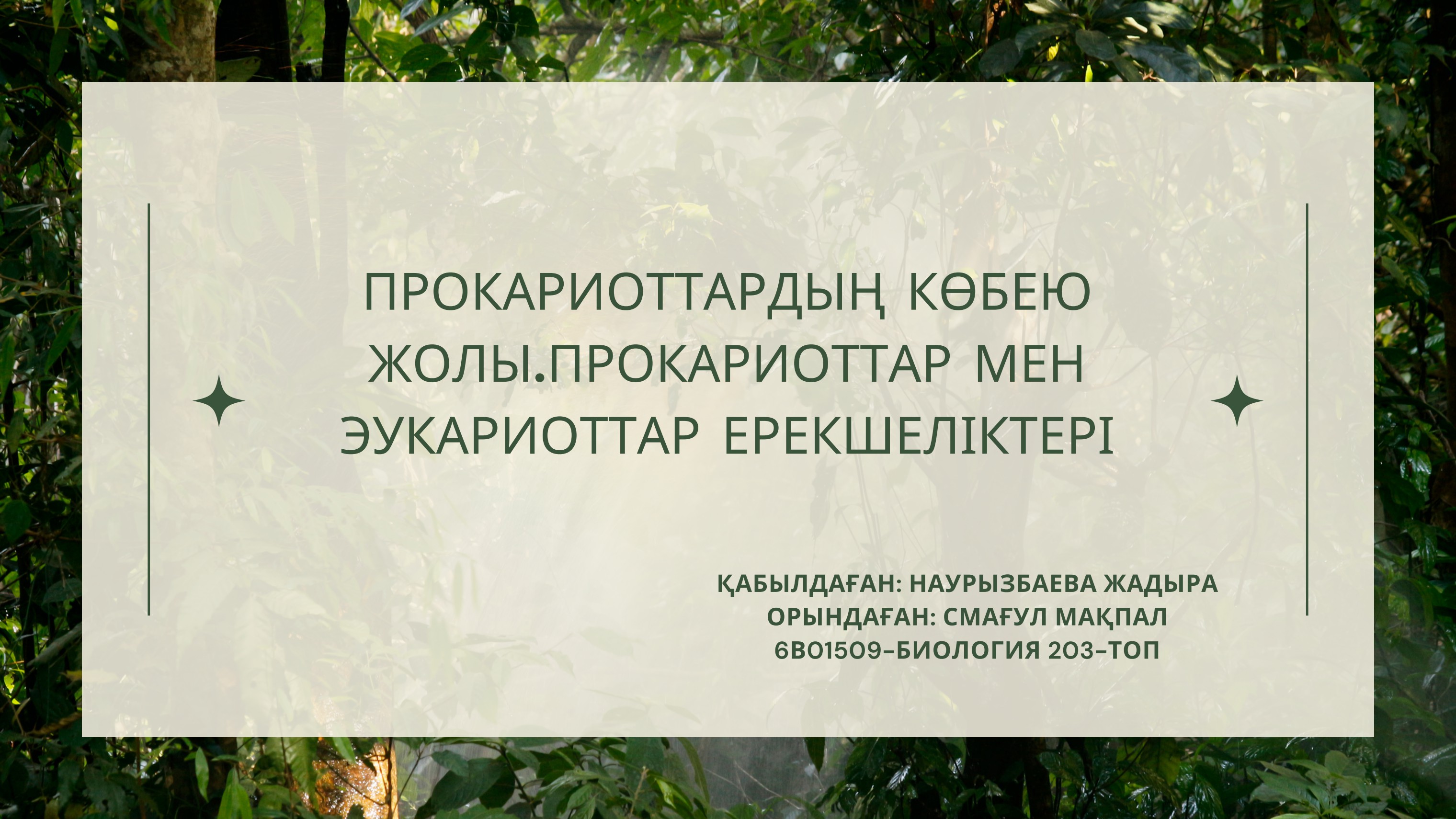 Орыс аналарының ұлдарымен болған секс видеолары