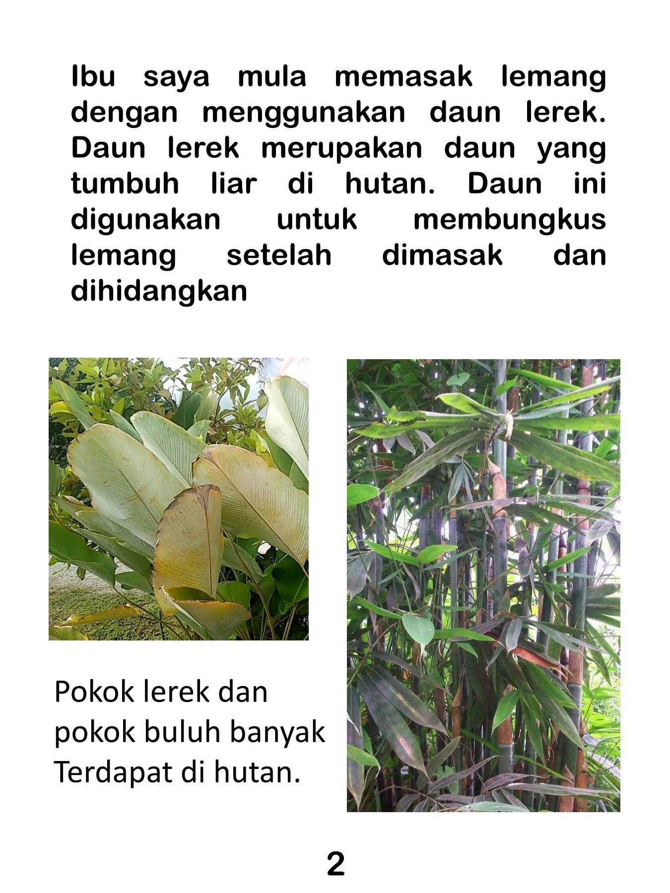 Lerek Sapi Lemang Daun Lerek