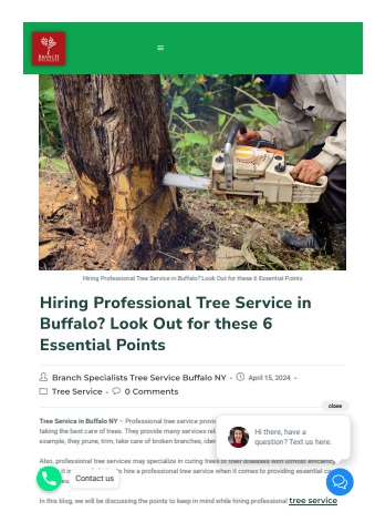 Hiring Professional Tree Service in Buffalo Look Out for these 6 ...