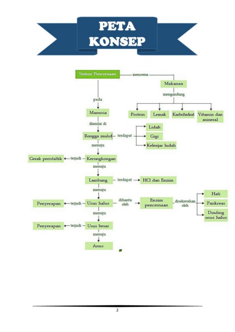 Sistem Pencernaan Flipbook Flip Ebook Pages 1 14 Anyflip Anyflip