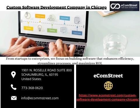 Custom Software Development Company in Chicago