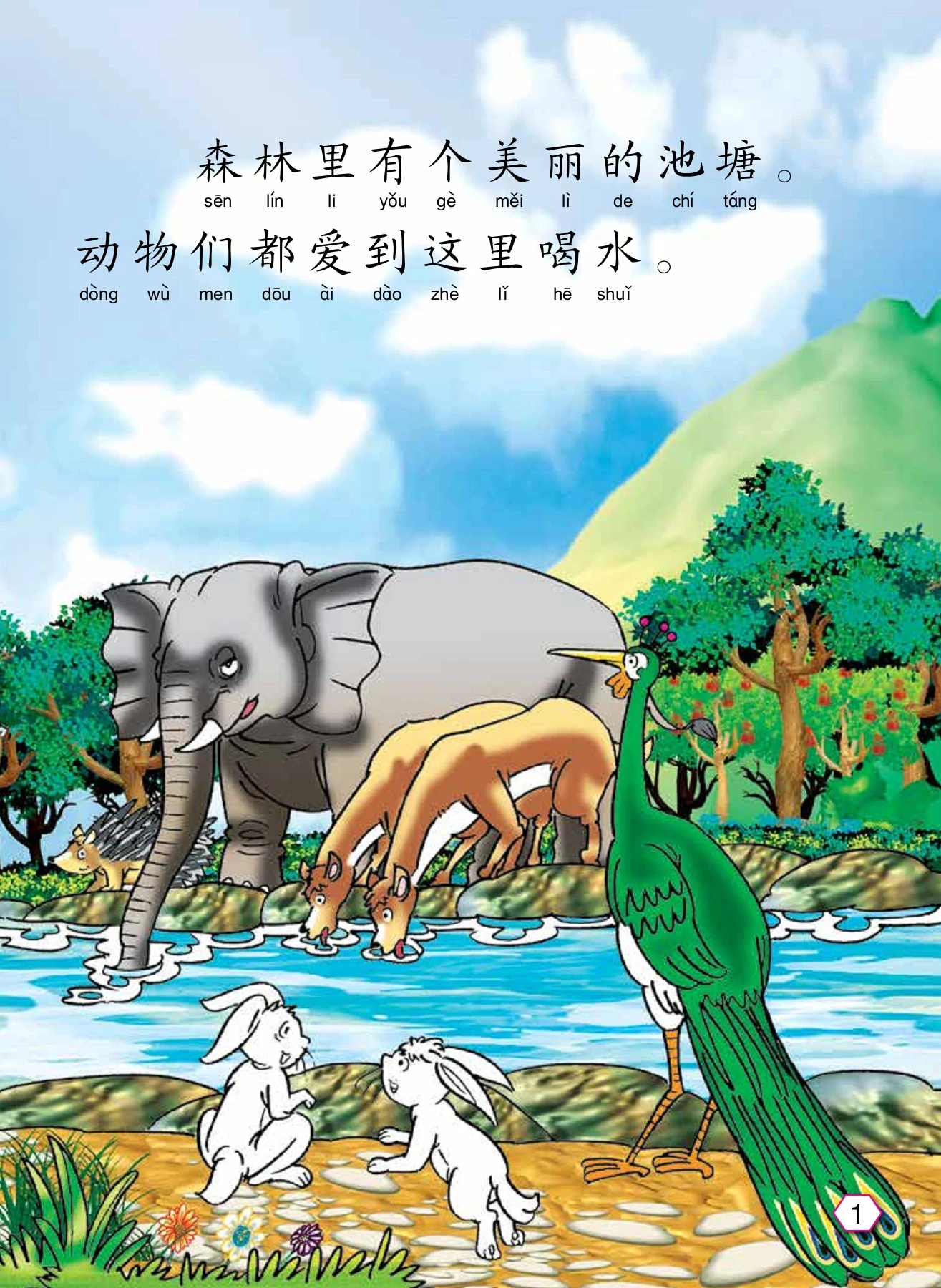 骄傲的孔雀
