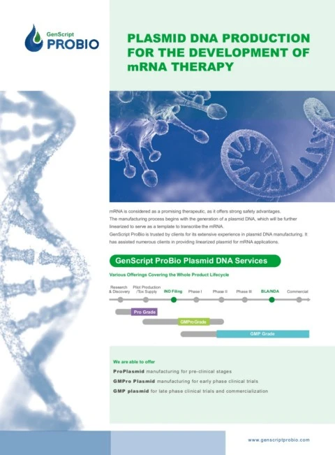 GenScript ProBio Plasmid Manufacturing