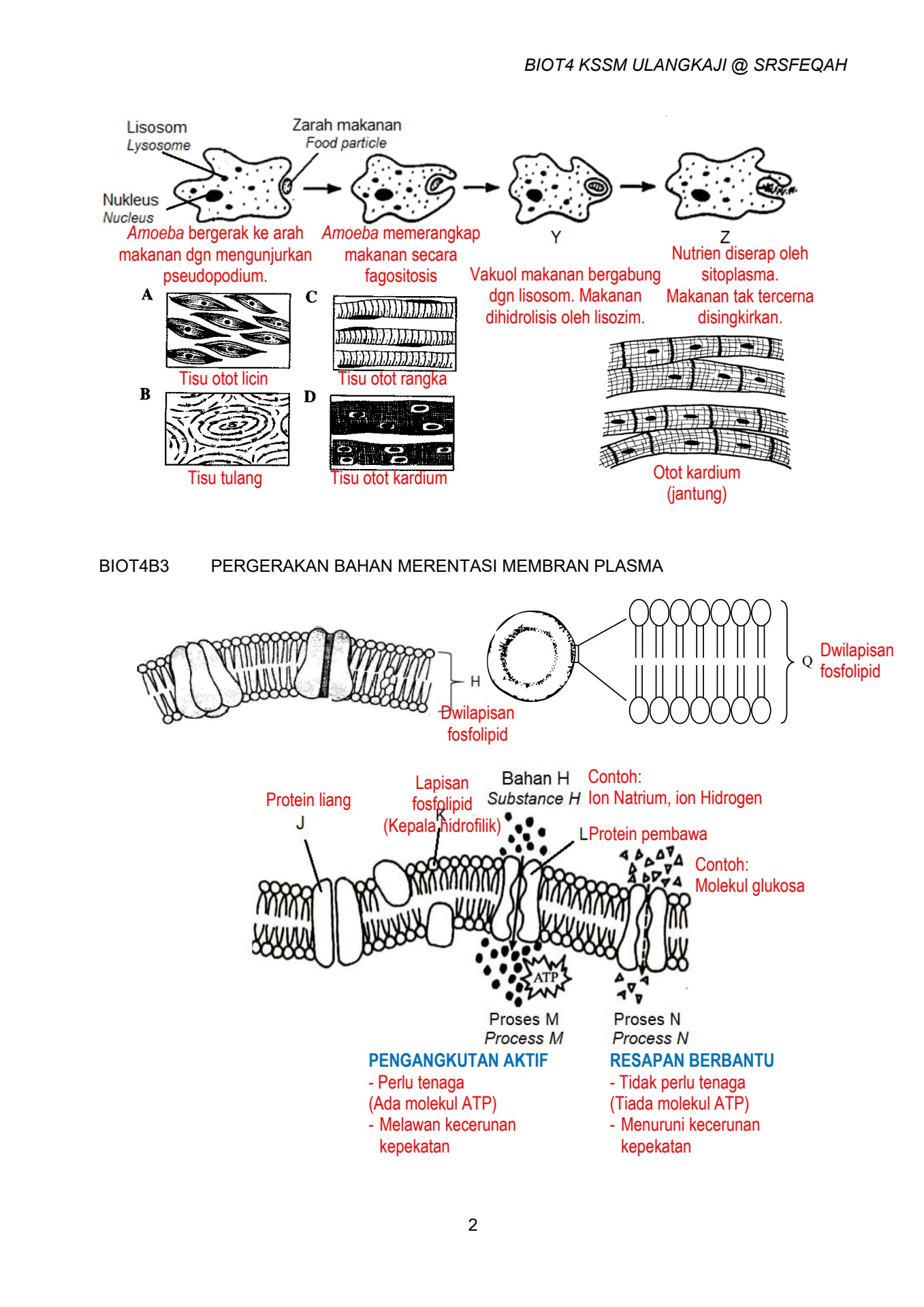 BIO T4 RAJAH ULANGKAJI BAB 2 JAWAPAN - Flip eBook Pages 1-2 | AnyFlip