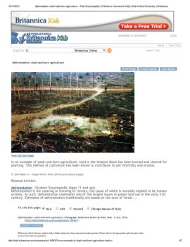 Deforestation facts image