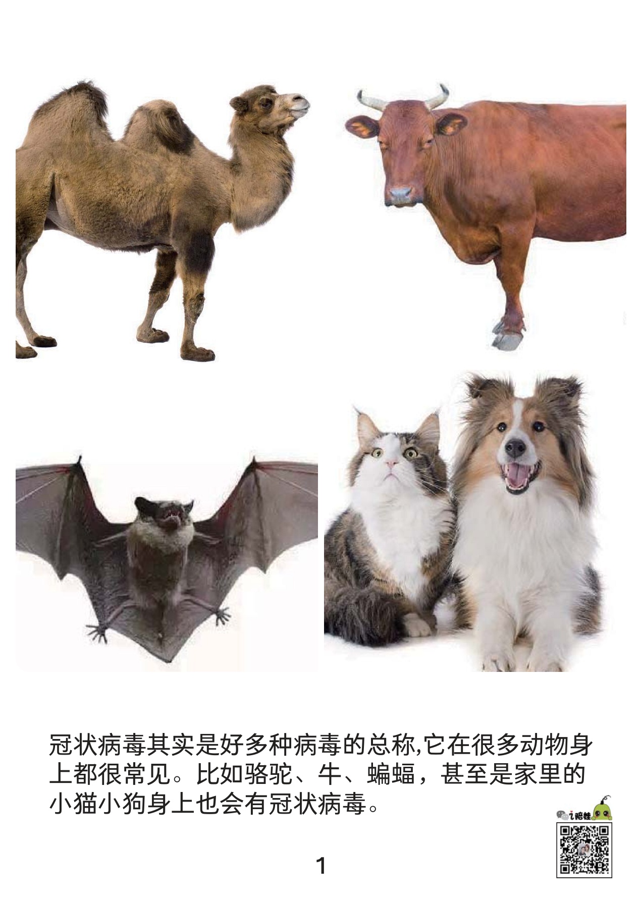 绘本《狡猾又可恶的新型冠状病毒》, image size:1272x1800