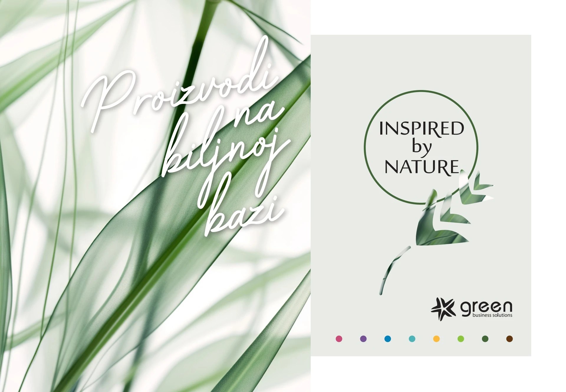 Green-katalog-2024_240806_140727 (1)