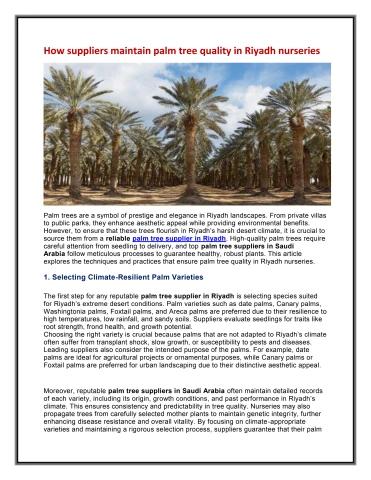 Palm Tree Rent Riyadh How suppliers maintain palm tree quality in Riyadh nurseries - Green ...